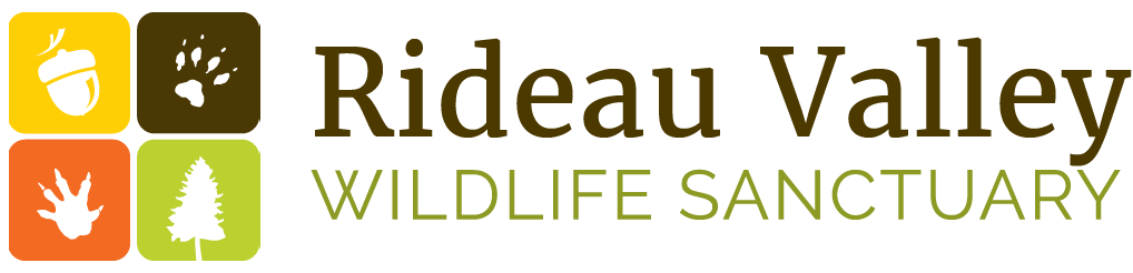 Rideau Valley Wildlife Sanctuary