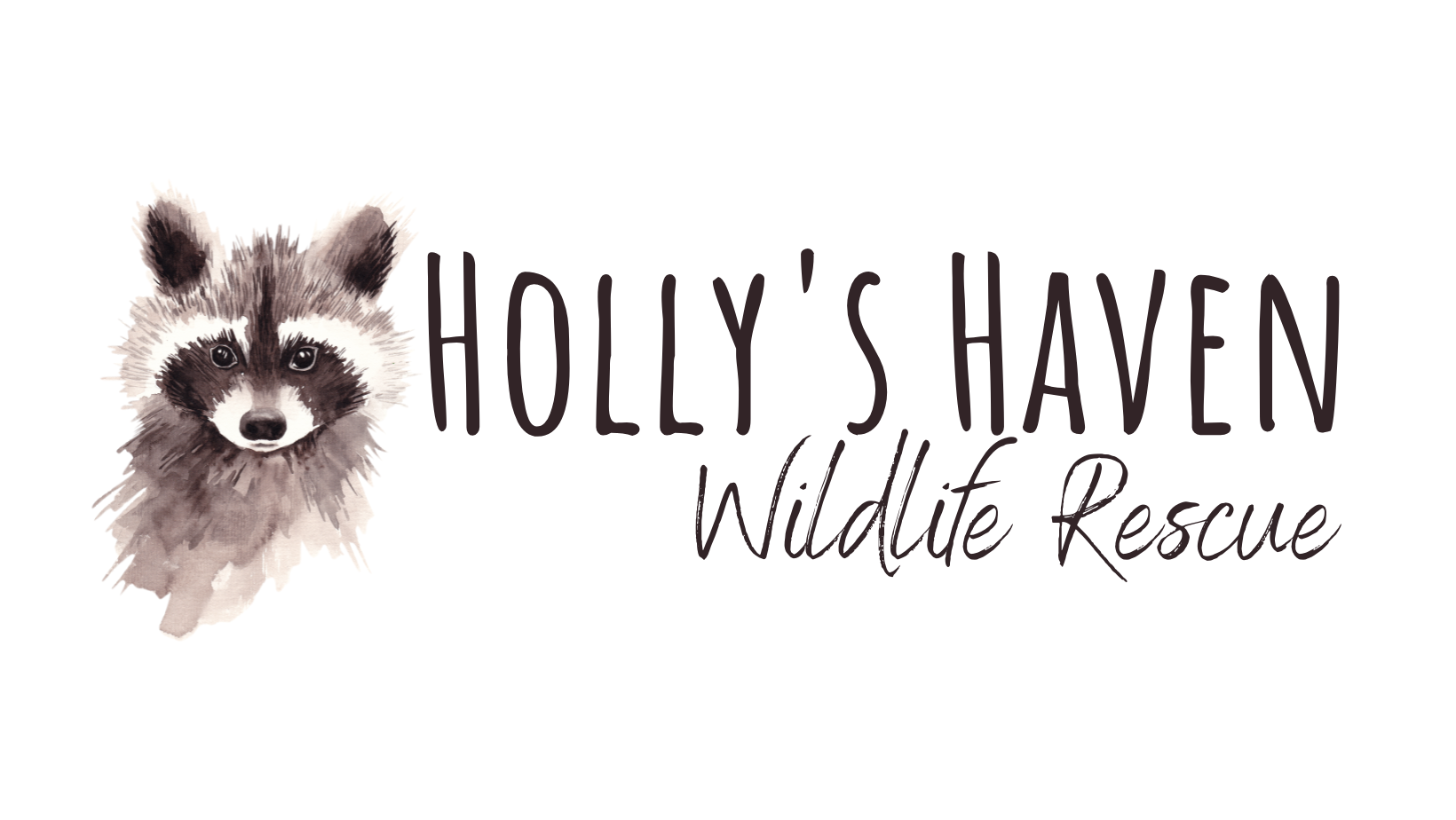 Holly's Haven Wildlife Rescue