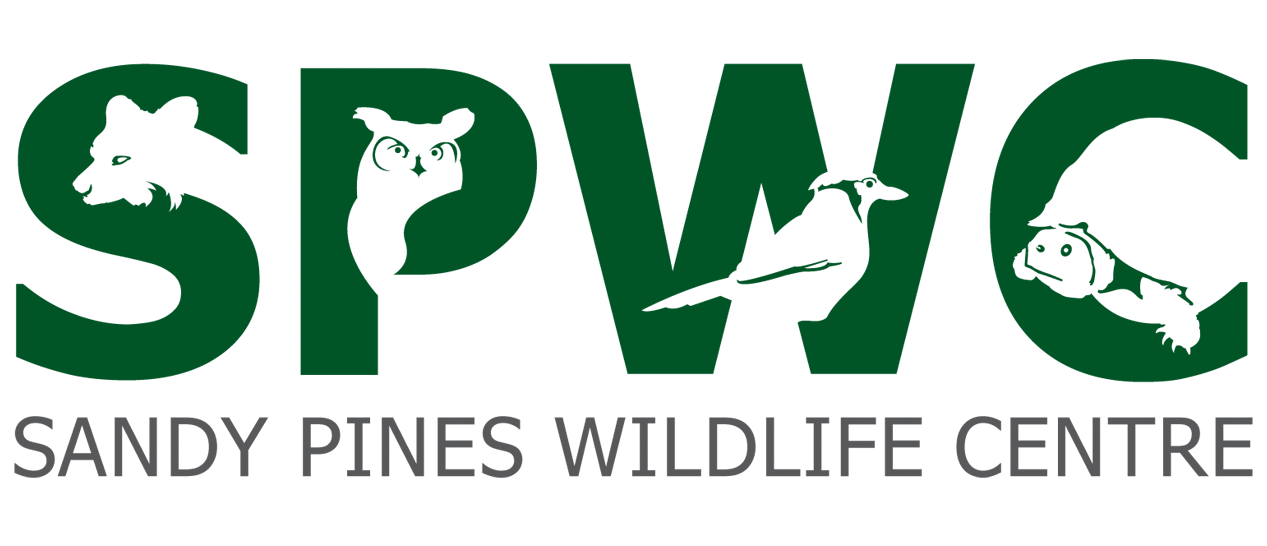  Sandy Pines Wildlife Centre